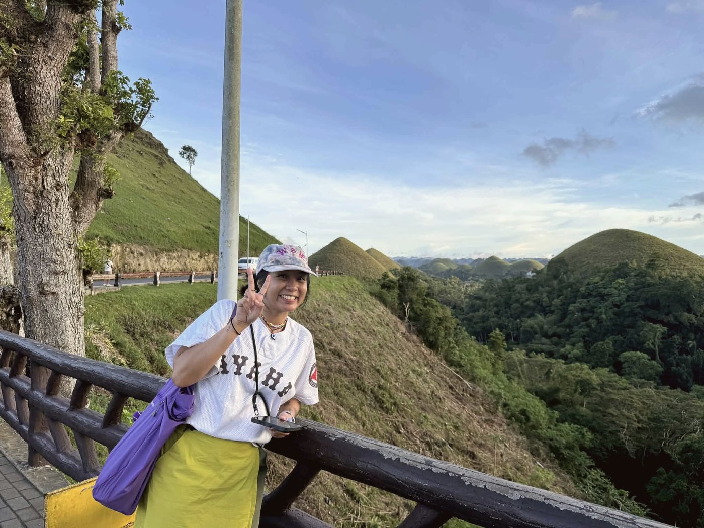 Chocolate Hills panoramic view, Bohol