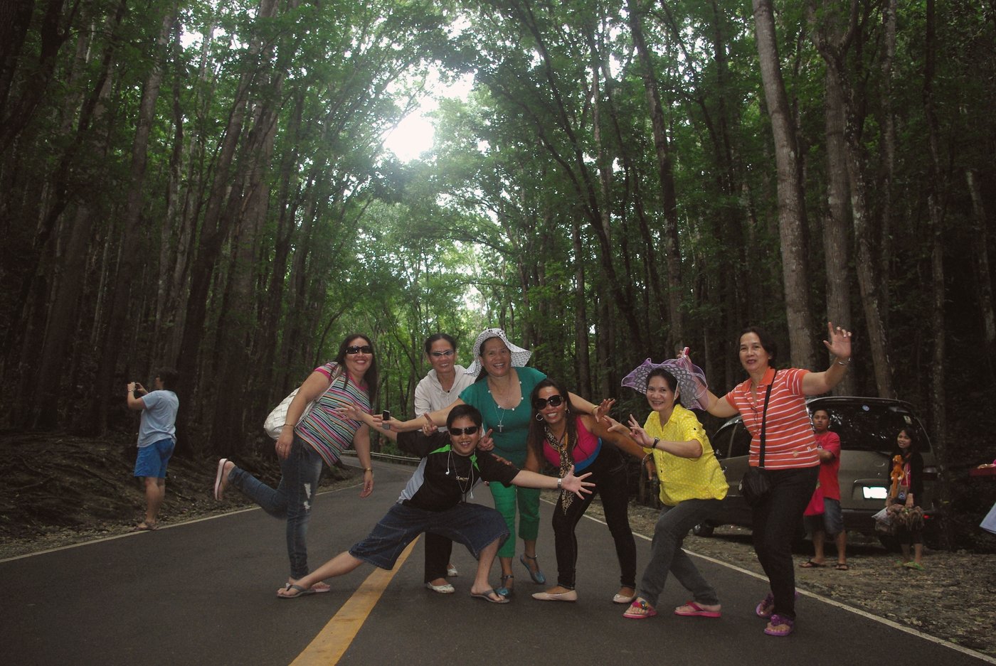 Bilar Man-Made Forest, Bohol