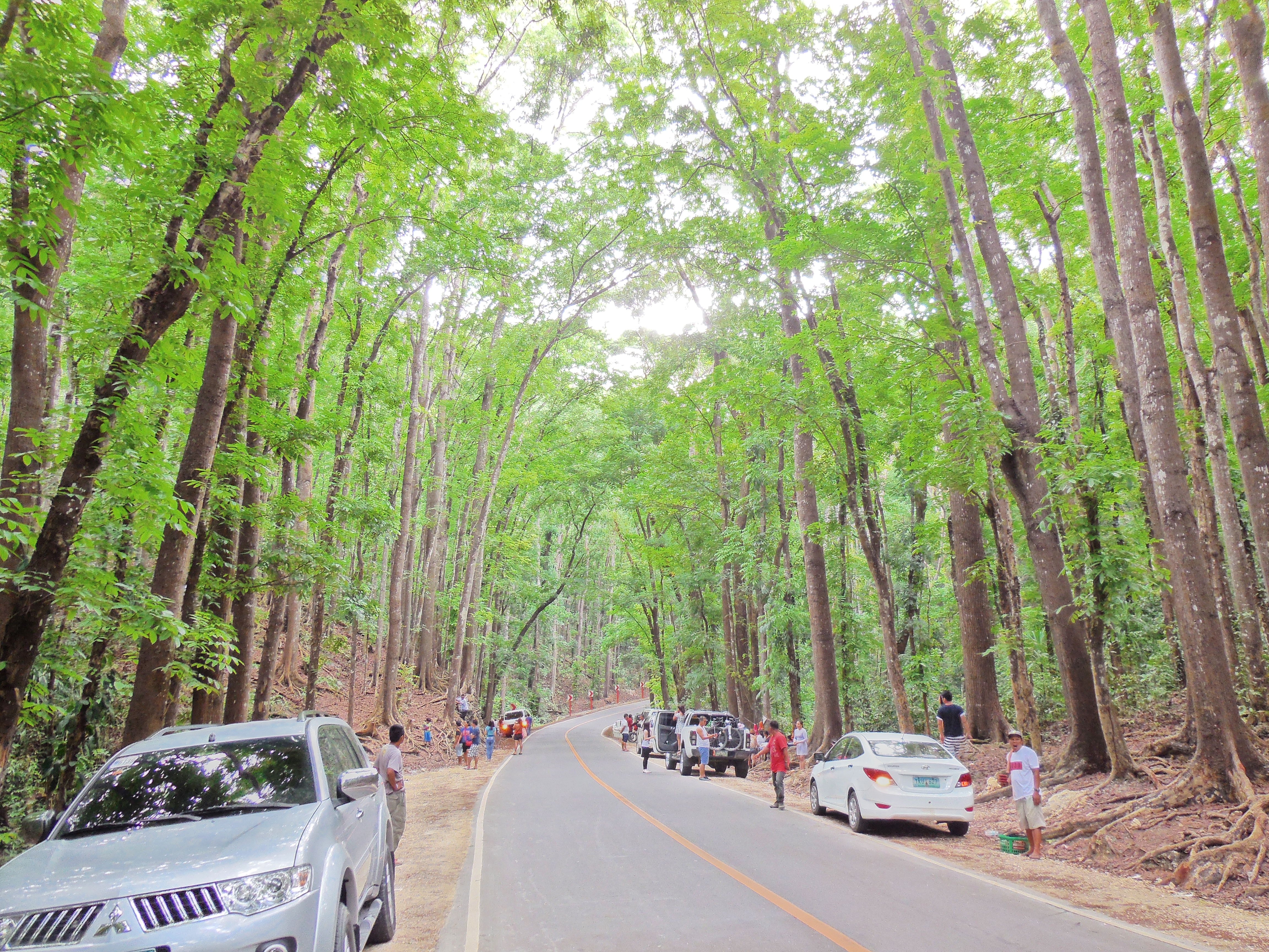 Bohol Selfie Photo Contest  Runner Up 1